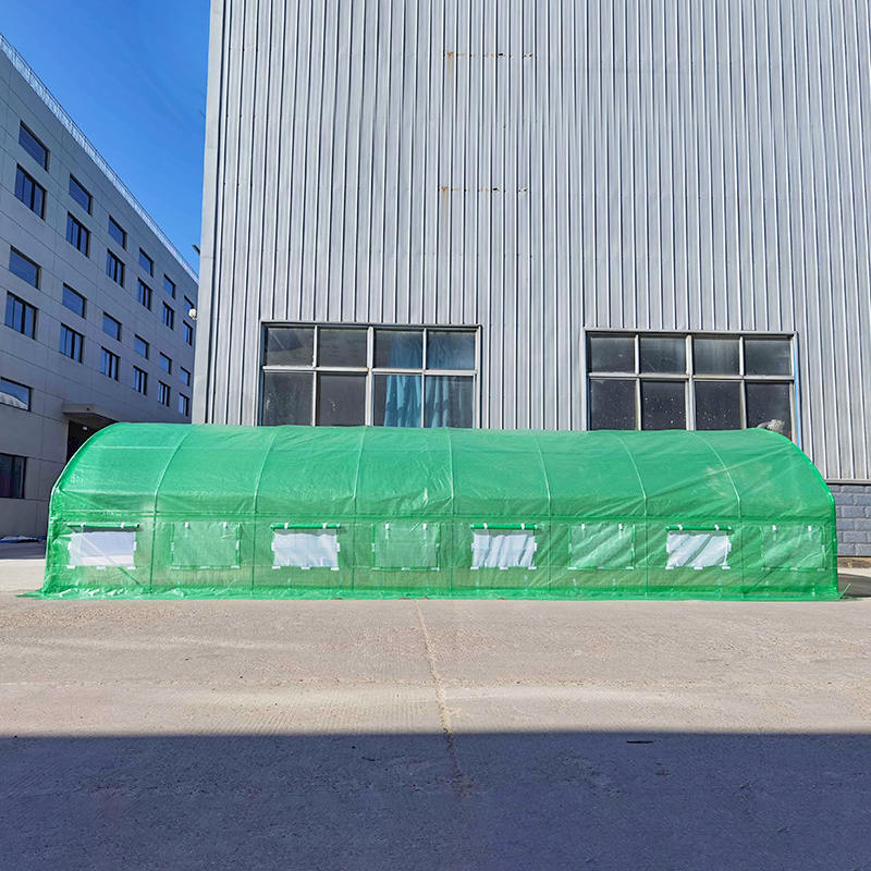 Tunele foliowe o wymiarach 4x8x2m Szklarnia z wysokim tunelem o okrągłym szczycie