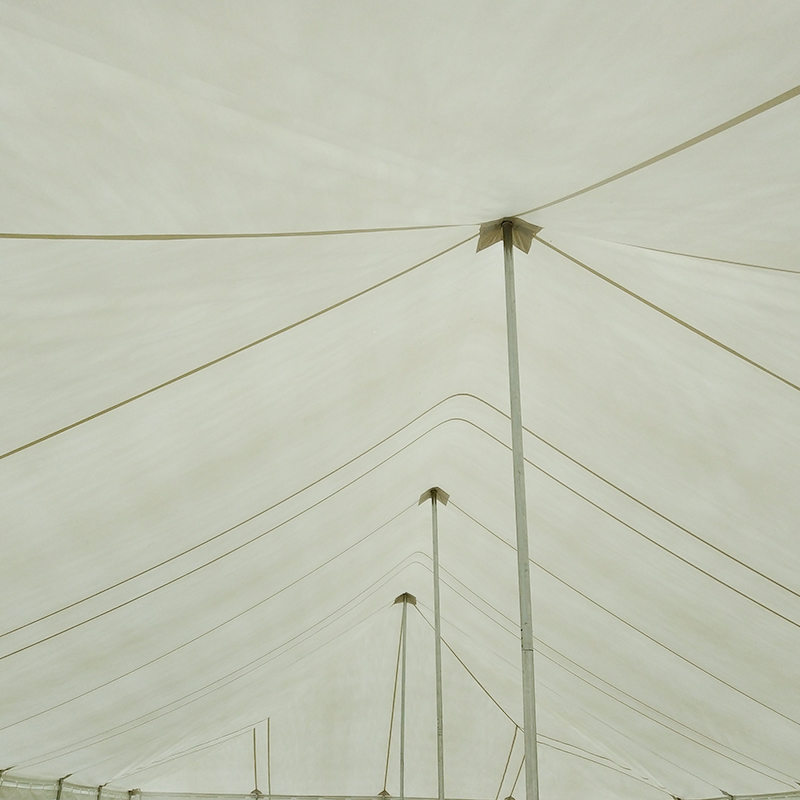 Tradycyjny namiot imprezowy z PCV o wymiarach 7 x 12 m z oknami